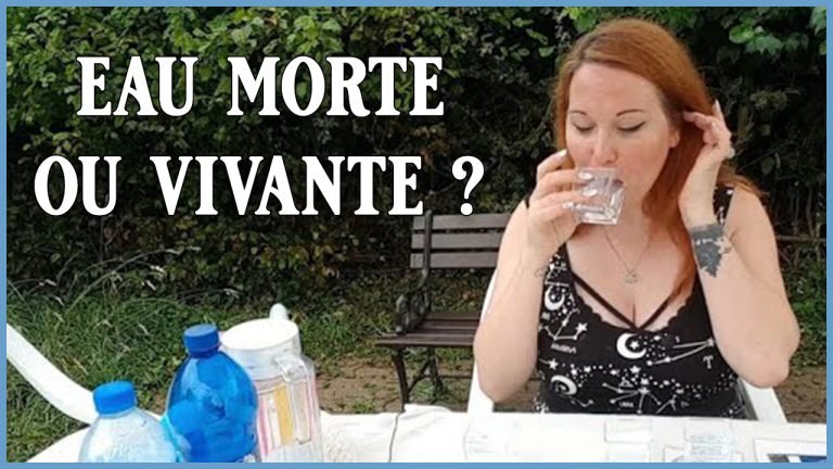 Eau morte ou vivante – Eau du robinet vs eau en bouteille