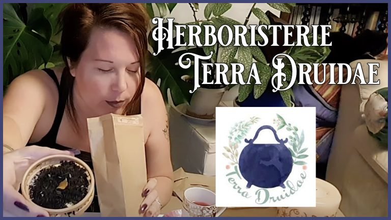 Terra Druidae : magie de l’essentiel