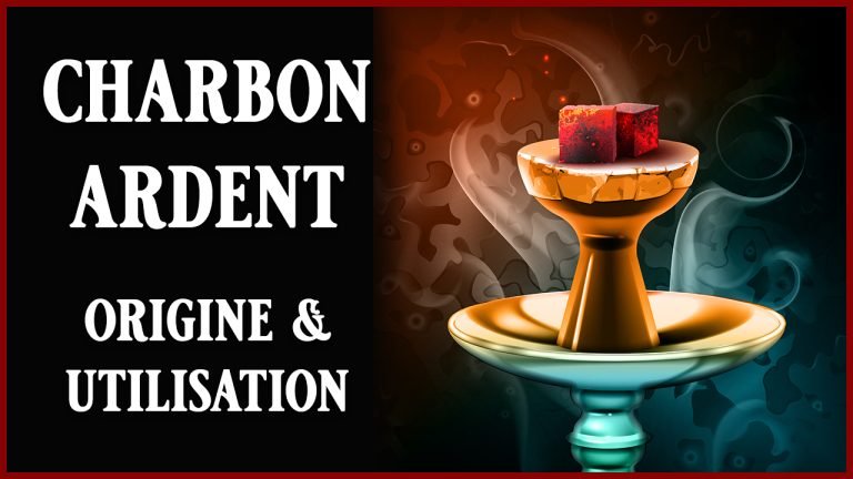 Charbon ardent : origine et utilisation