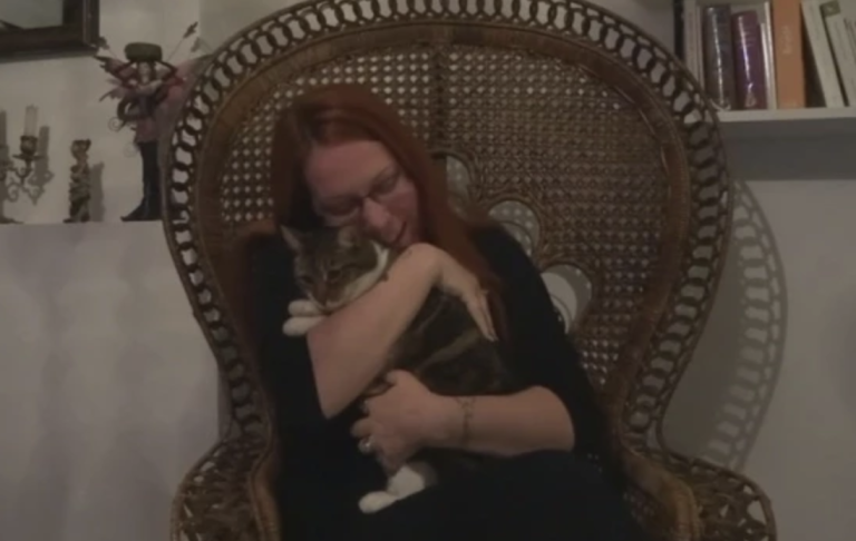 Comment retrouver un chat perdu